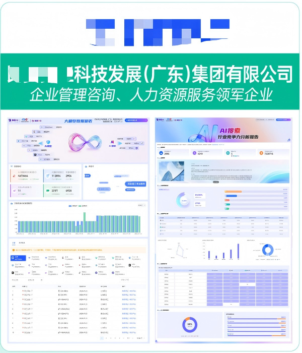 XXXX科技发展(广东)集团有限公司GEO案例