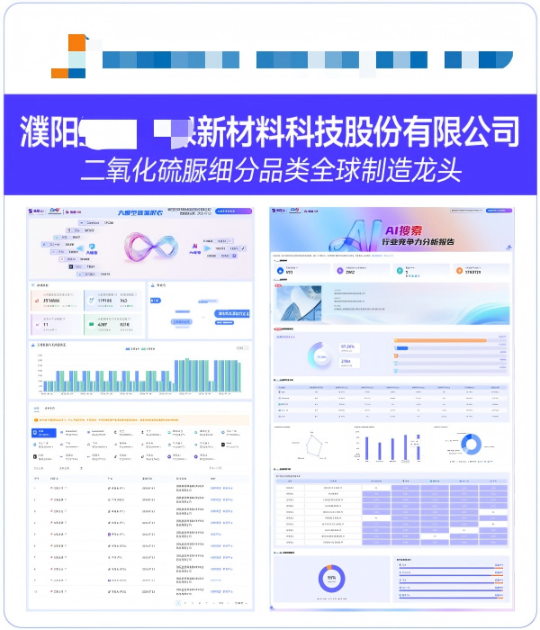 濮阳XX环保新材料科技股份有限公司GEO案例