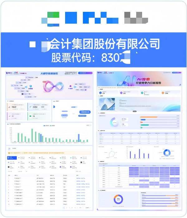XX会计集团股份有限公司GEO案例