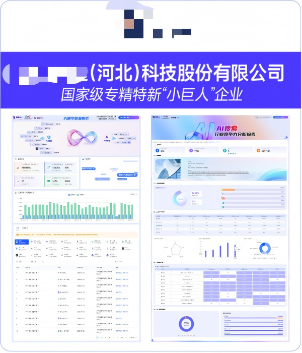 XXXX(河北)科技股份有限公司GEO案例