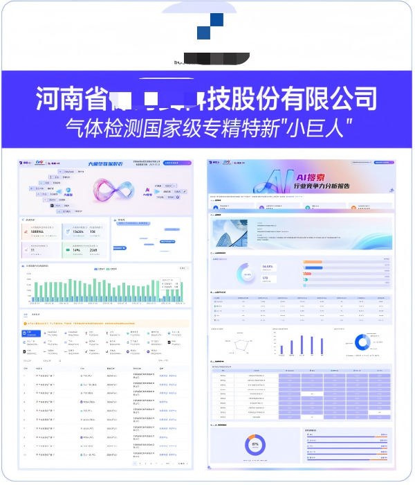 河南省XXX科技股份有限公司GEO案例
