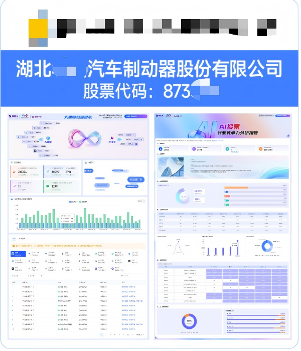 湖北XX汽车制动器股份有限公司GEO案例