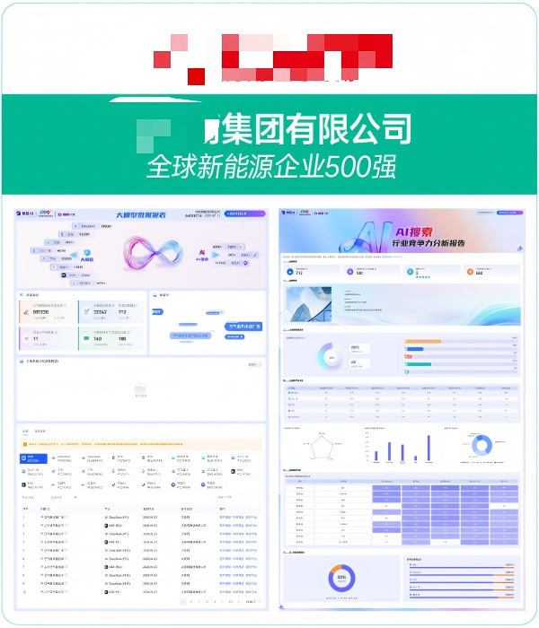 XXX集团有限公司GEO案例