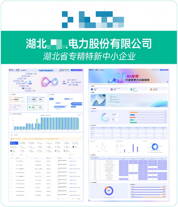 湖北XX电力股份有限公司GEO案例