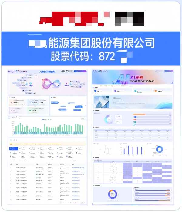 XX能源集团股份有限公司GEO案例