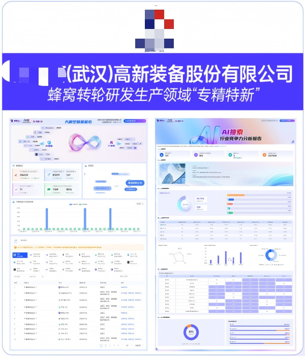 XXX高新装备股份有限公司GEO案例