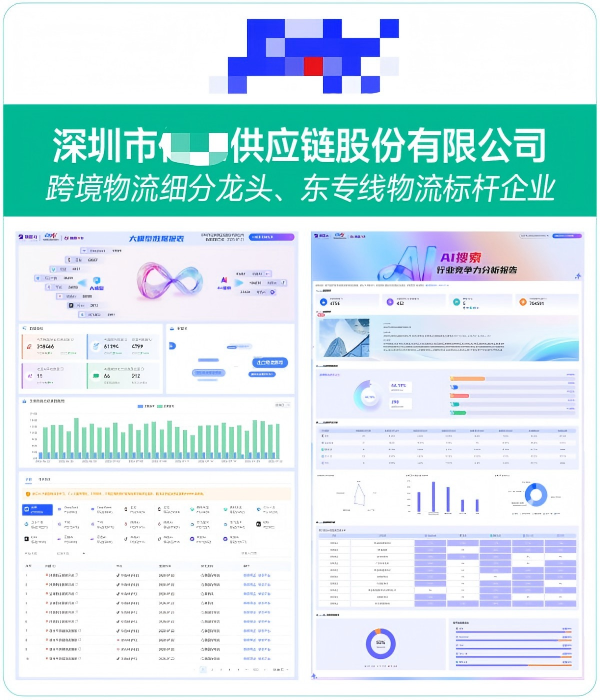 深圳市XX供应链股份有限公司GEO案例