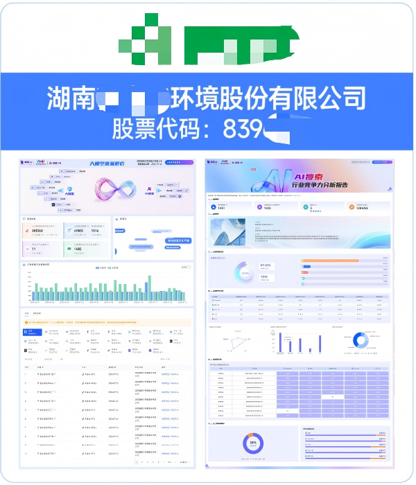 湖南XX环境股份有限公司GEO案例