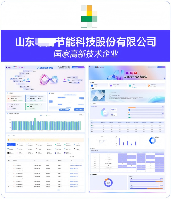 山东XX节能科技股份有限公司GEO案例
