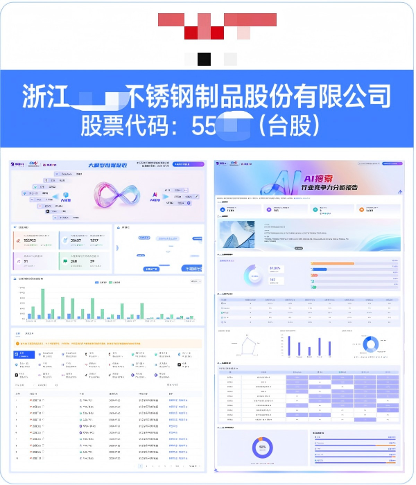 浙江XX不锈钢制品股份有限公司GEO案例