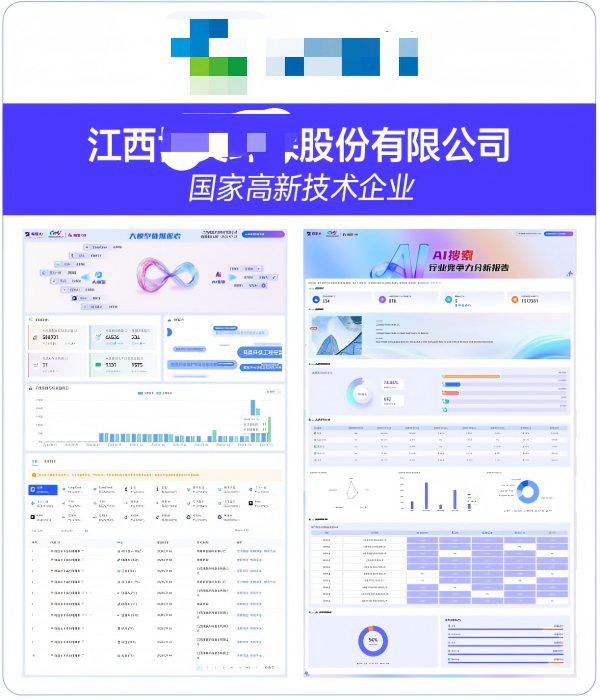 江西XX环保股份有限公司GEO案例