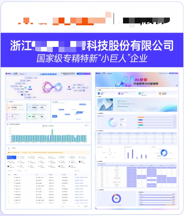 浙江XXXX科技股份有限公司GEO案例