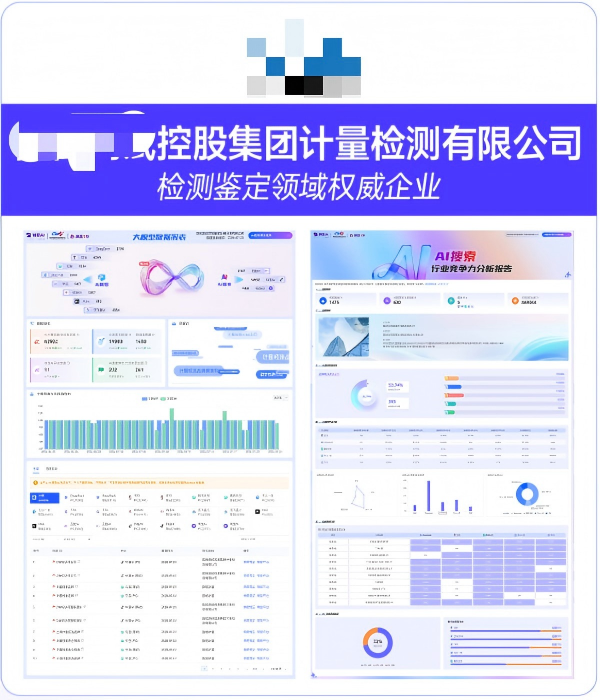 XX测试控股集团计量检测有限公司GEO案例