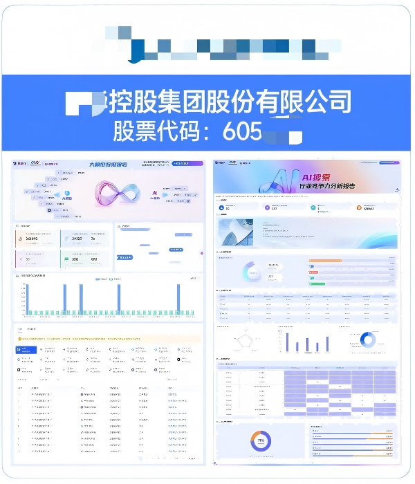 XX控股集团股份有限公司GEO案例