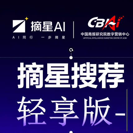 摘星AI轻享版（城市分站）