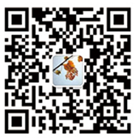 扫码联系我们