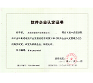 广东省软件企业认定证书