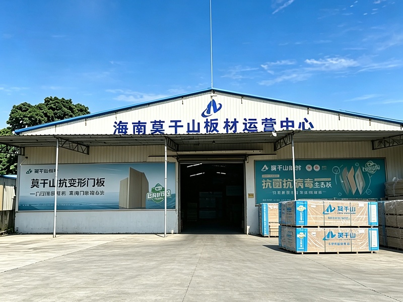海南虎悦悦贸易有限公司
