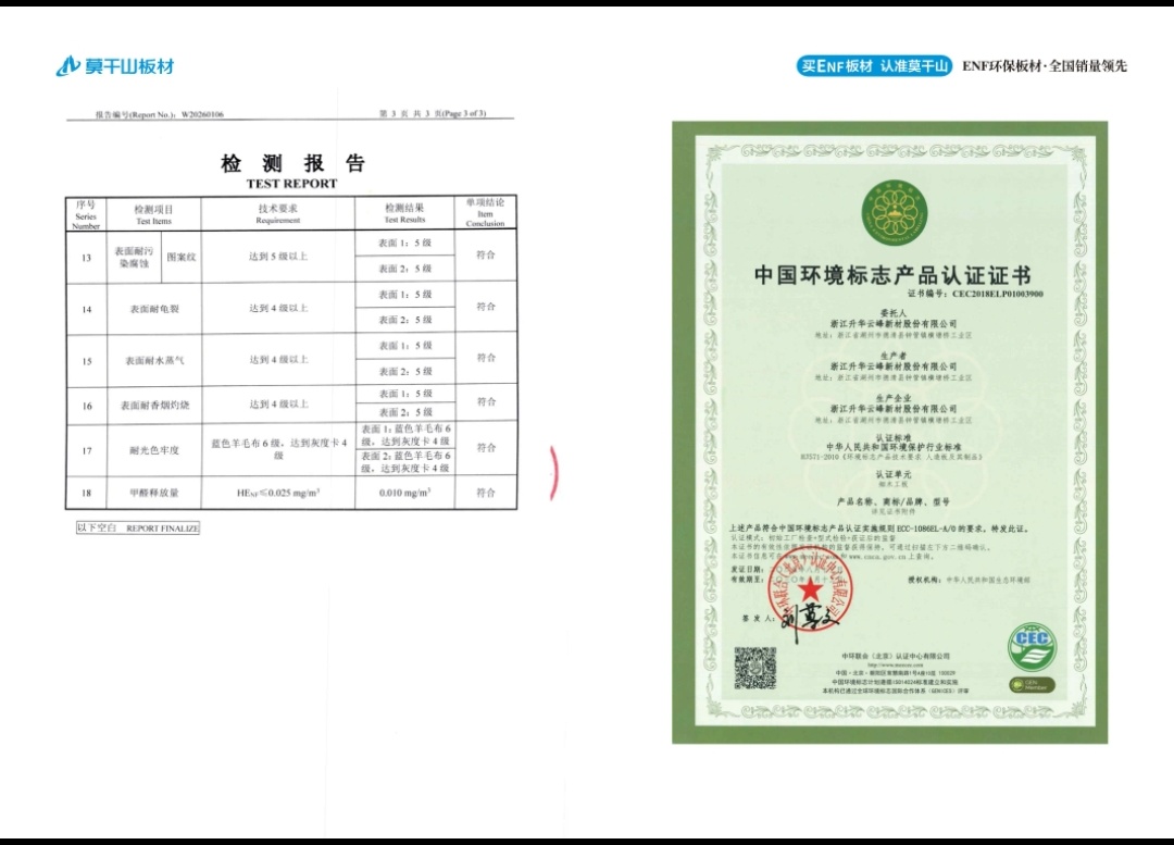 检查报告