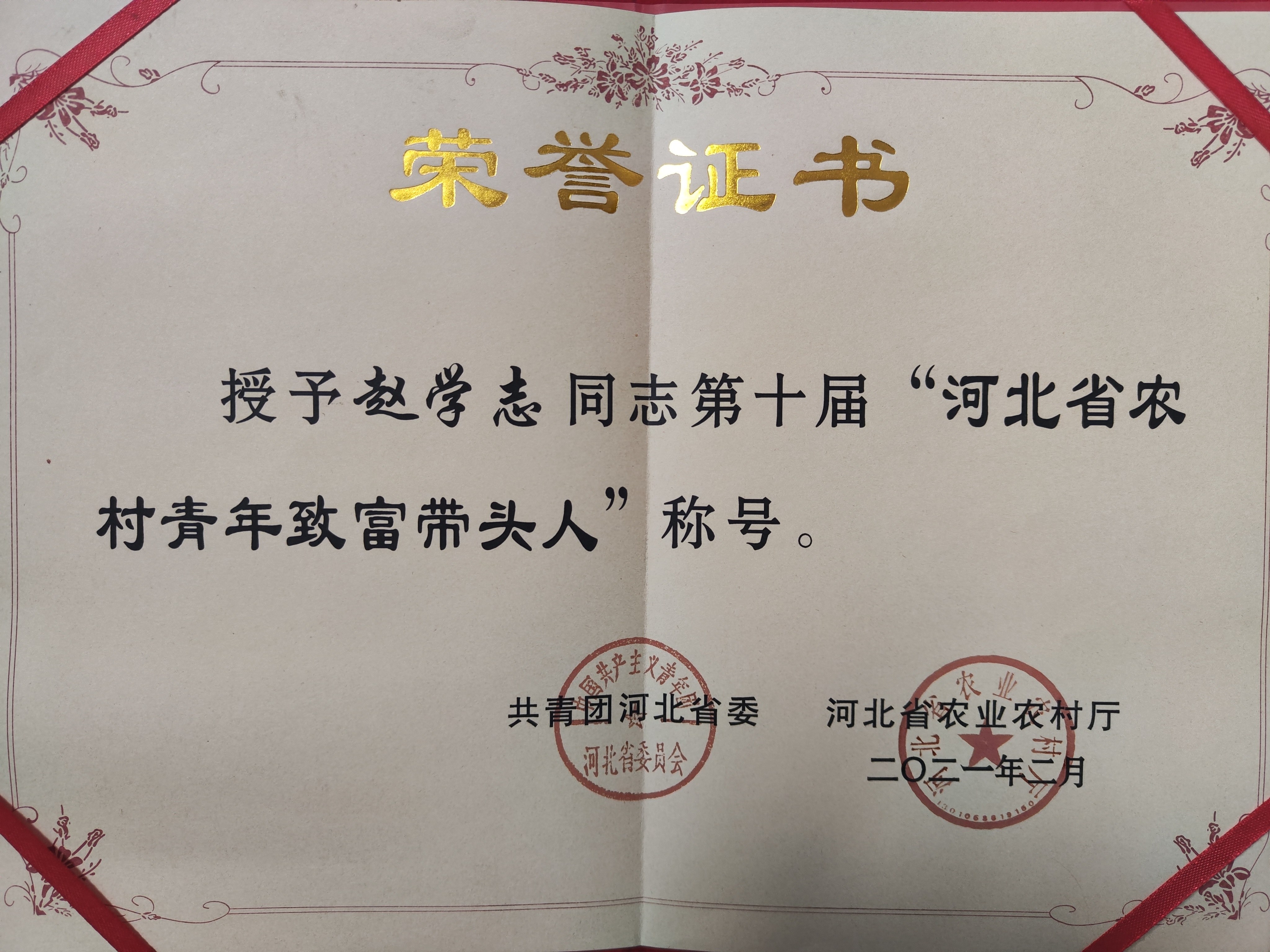 河北省农村青年致富带头人