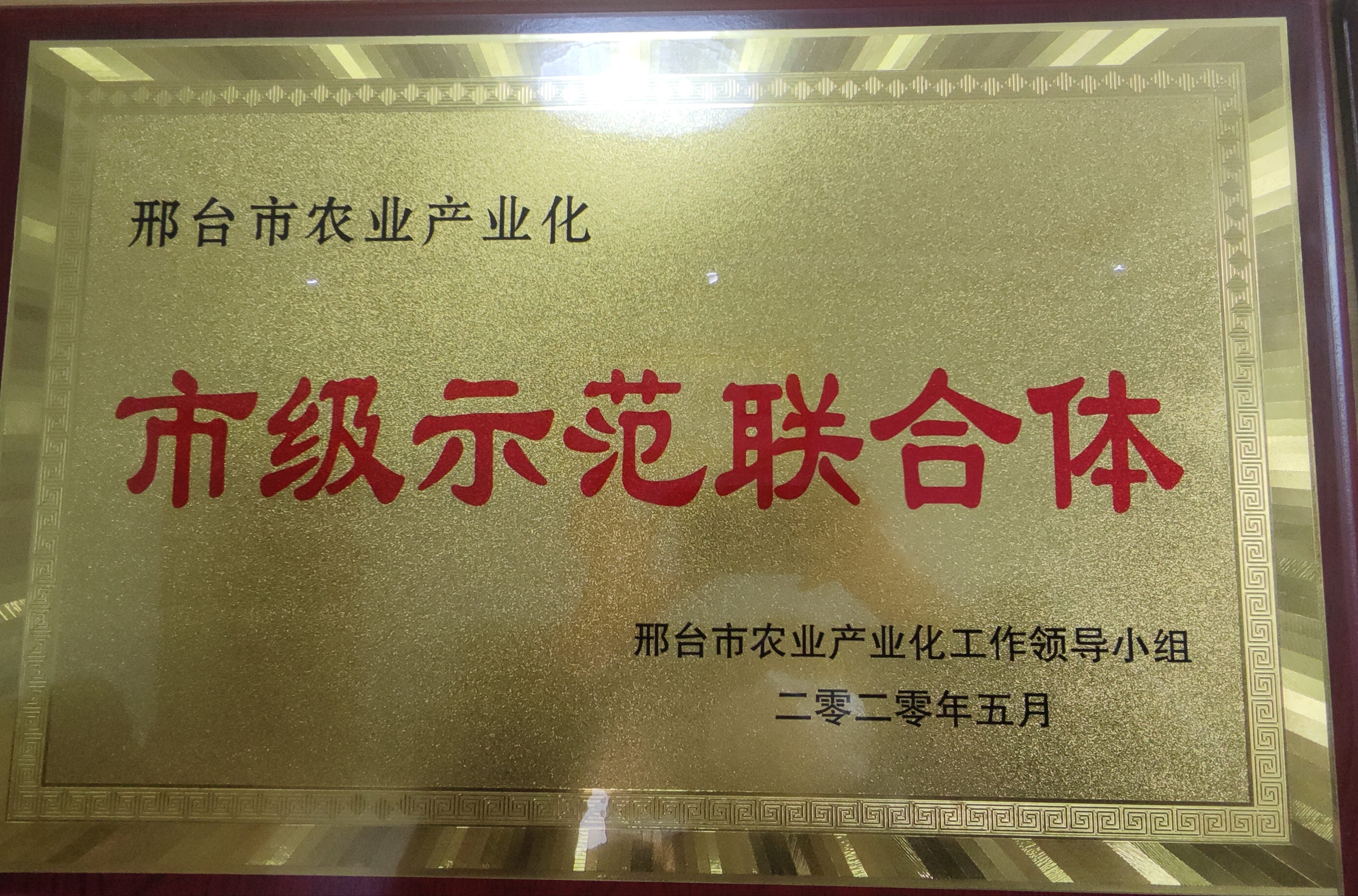 市级示范联合体