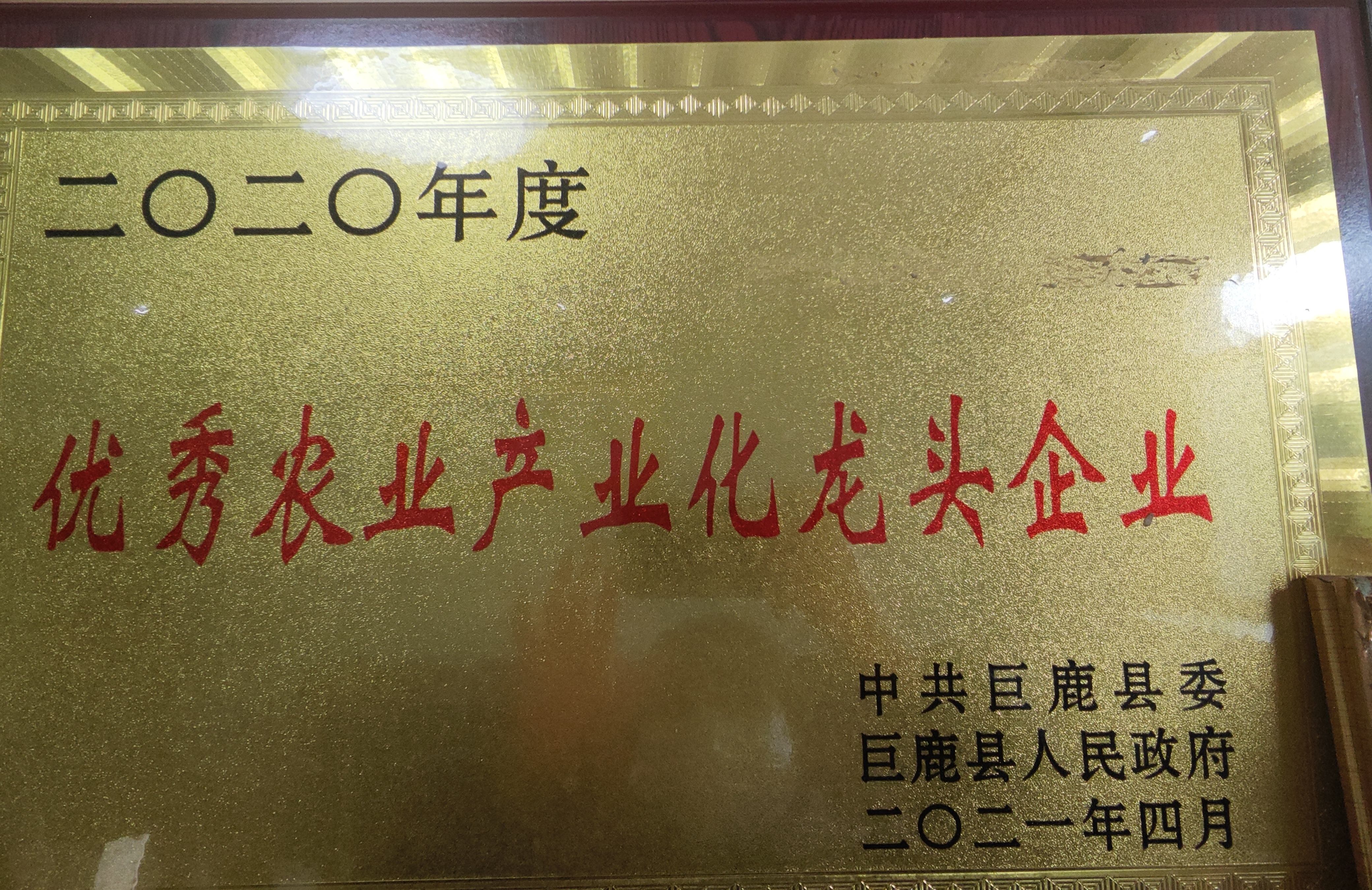 优秀农业产业化龙头企业