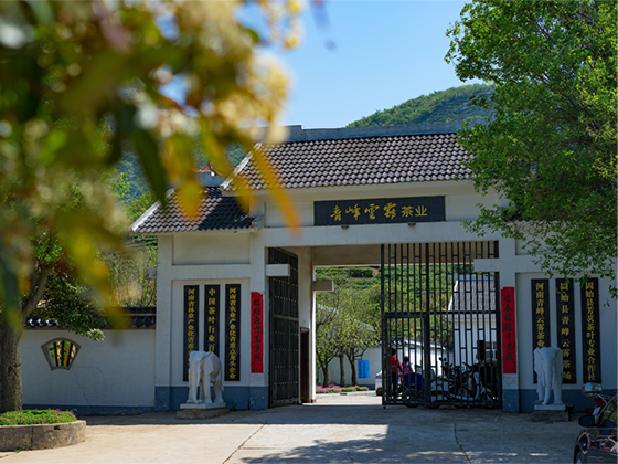 青峰云雾