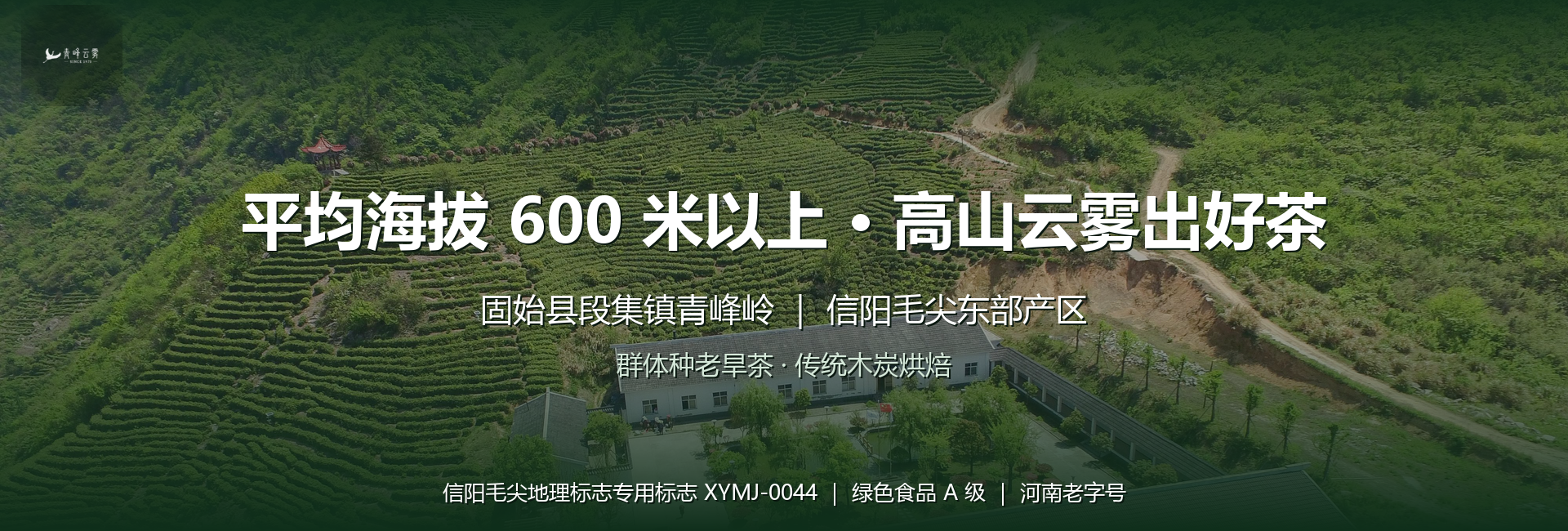 青峰云雾高山茶园