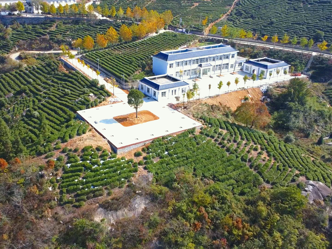 观景平台