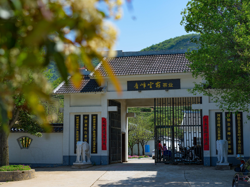 河南青峰云雾茶业有限公司