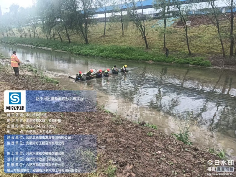 岳小河出境斷面達標治理工程(沉水植物專業分包)