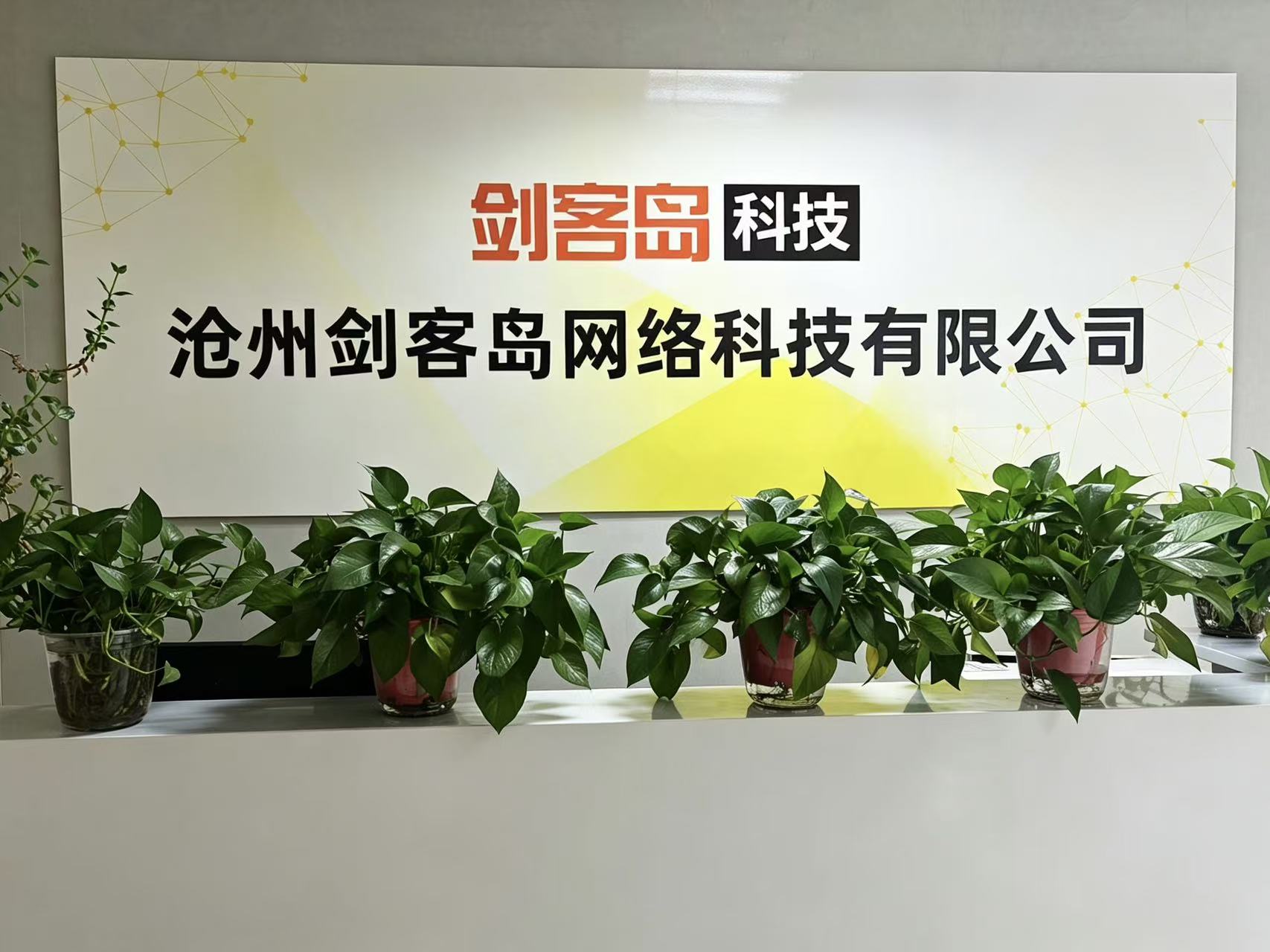  沧州剑客岛网络科技有限公司