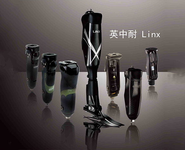 英中耐linx灵思全智能假肢