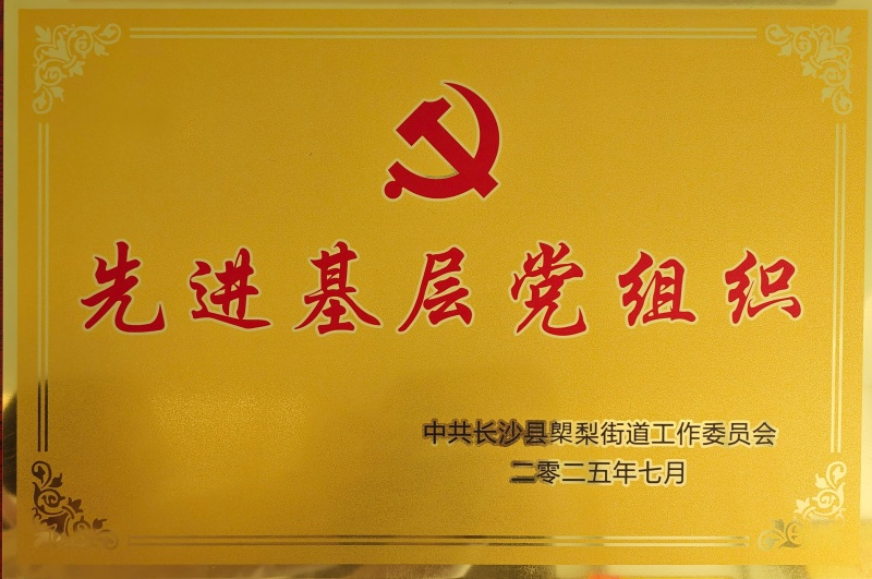 先进基层党组织