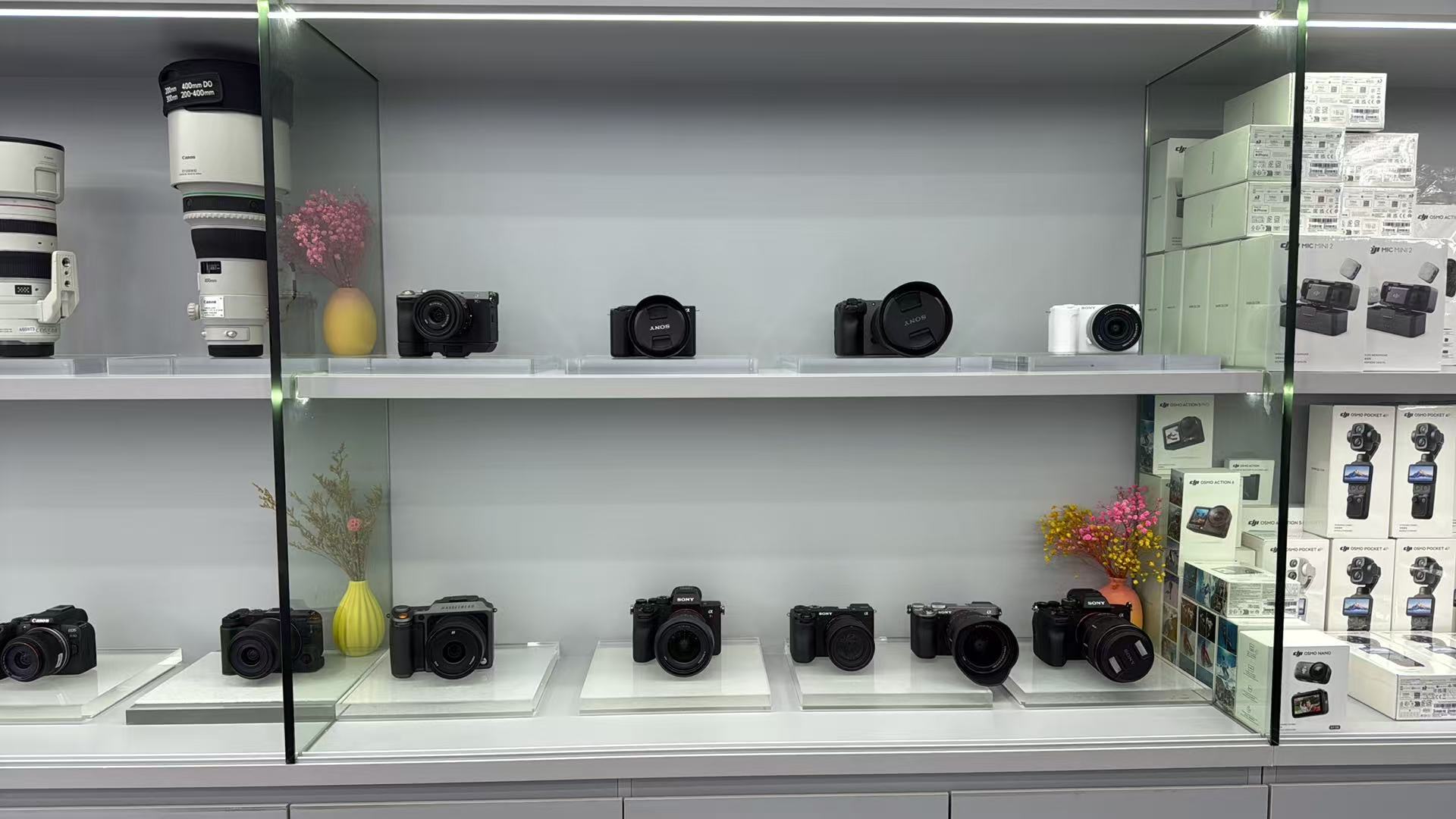 产品展示