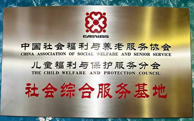 中国社会福利与养老服务协会
