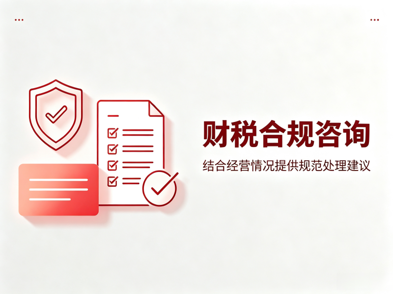 财税合规咨询