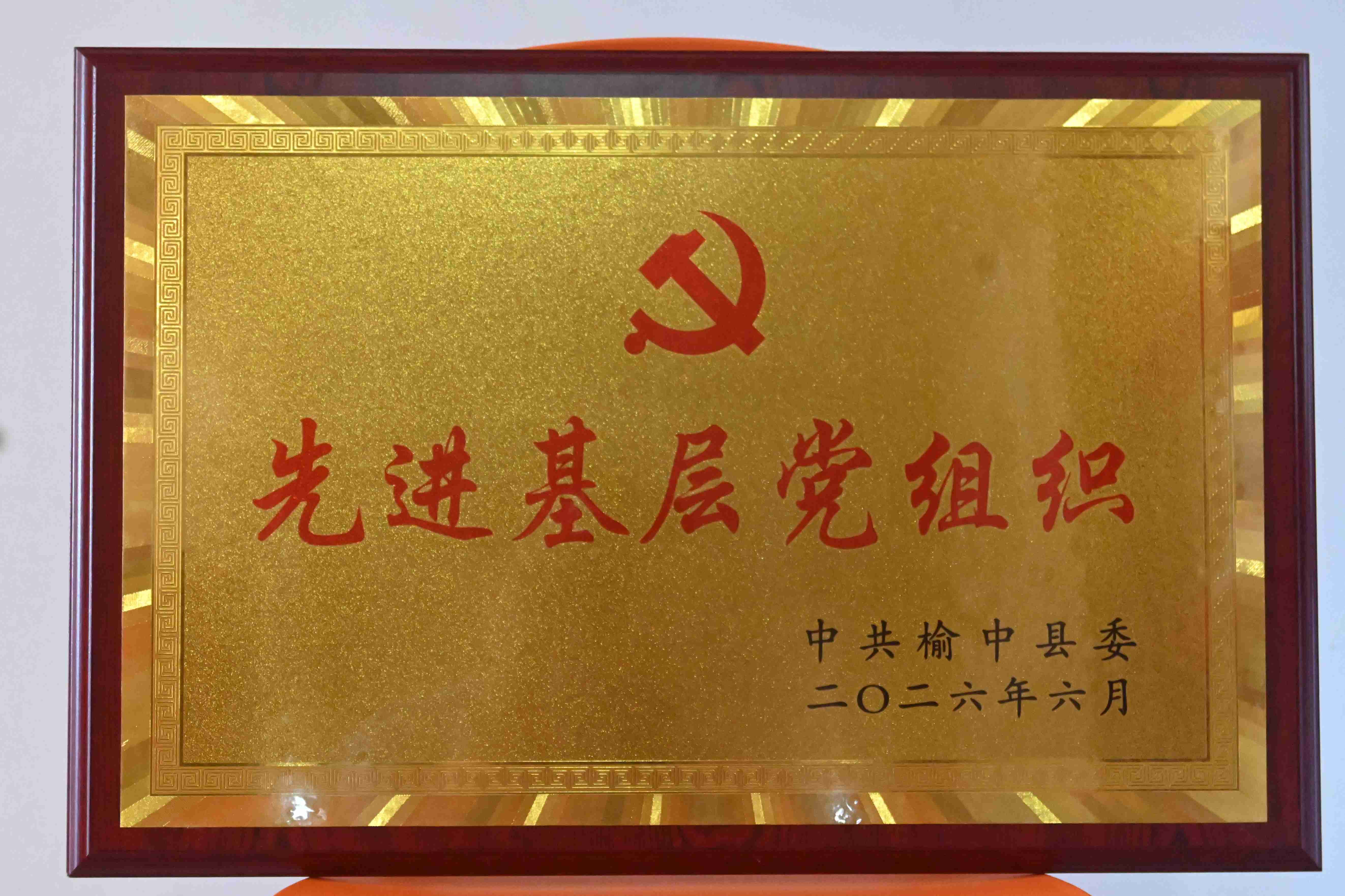 优秀基层党组织