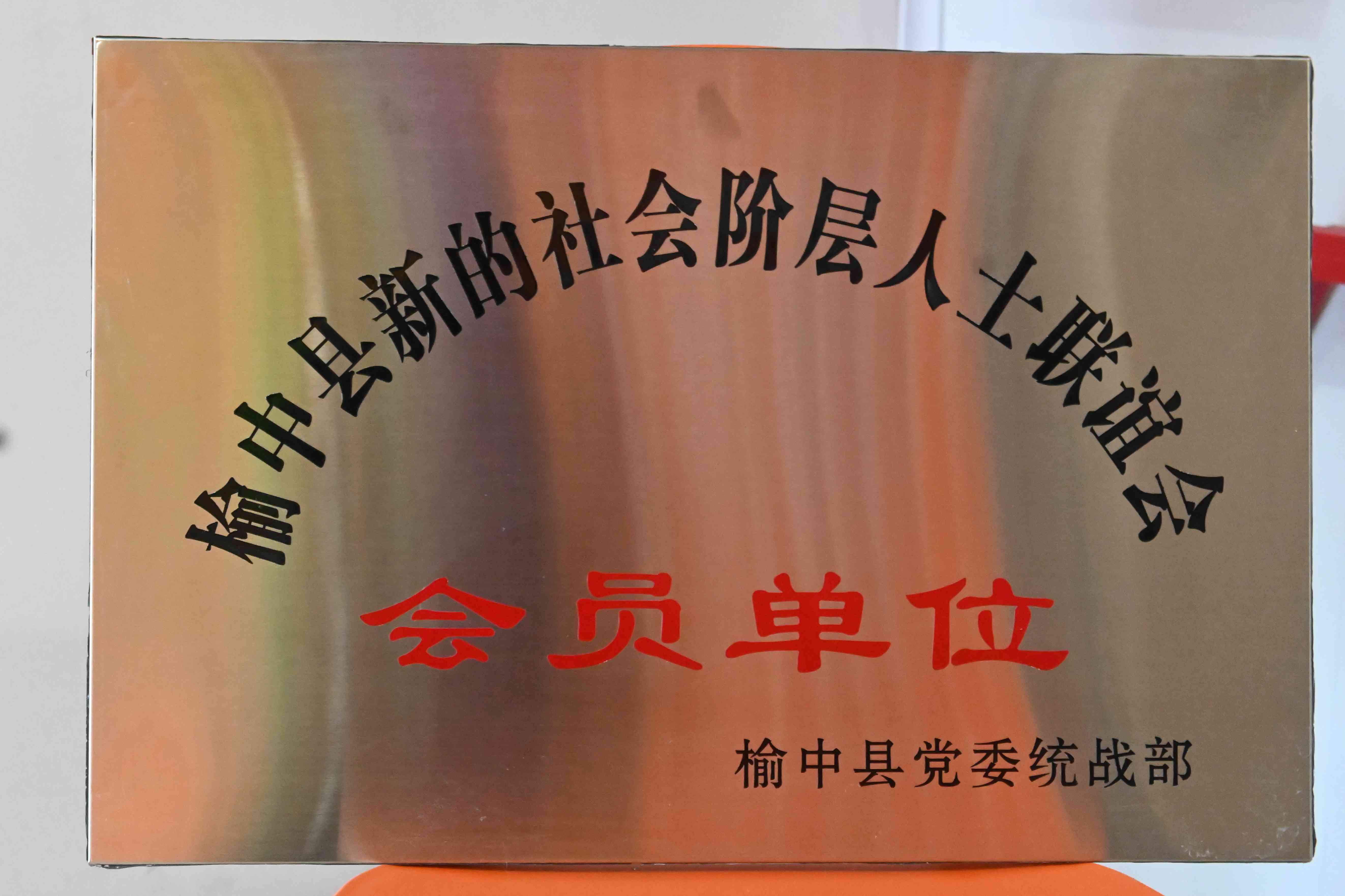 会员单位