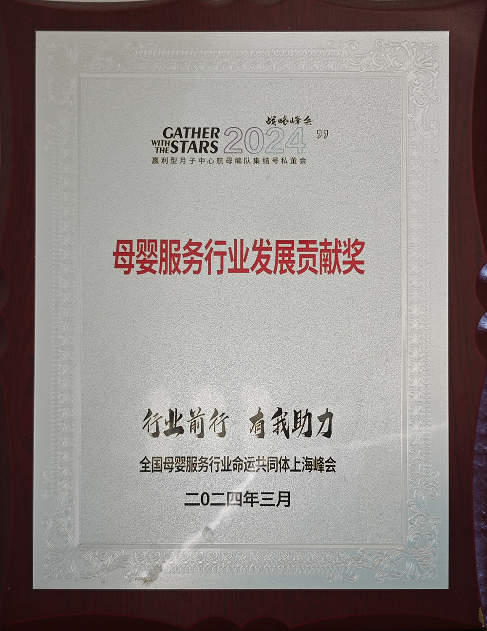 母婴服务行业发展贡献奖