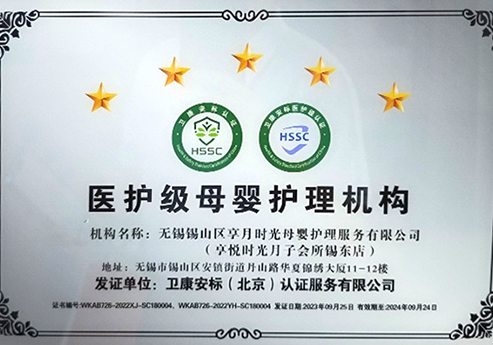 医护级母婴护理机构