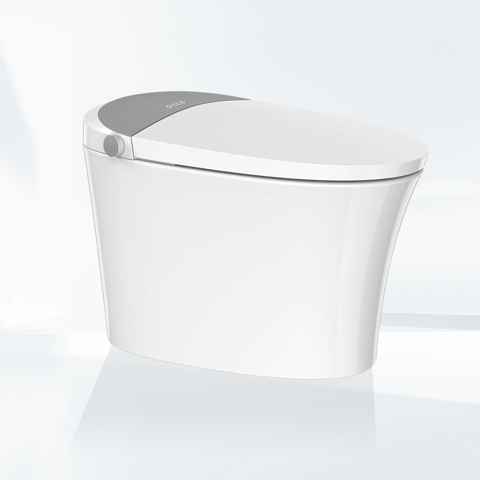 金牌RF3220Z-01智能坐便器