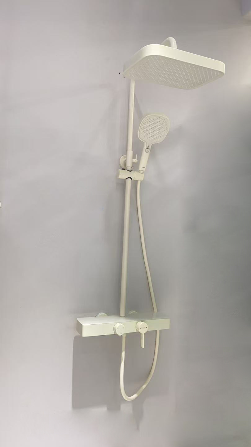金牌RF13328B花洒