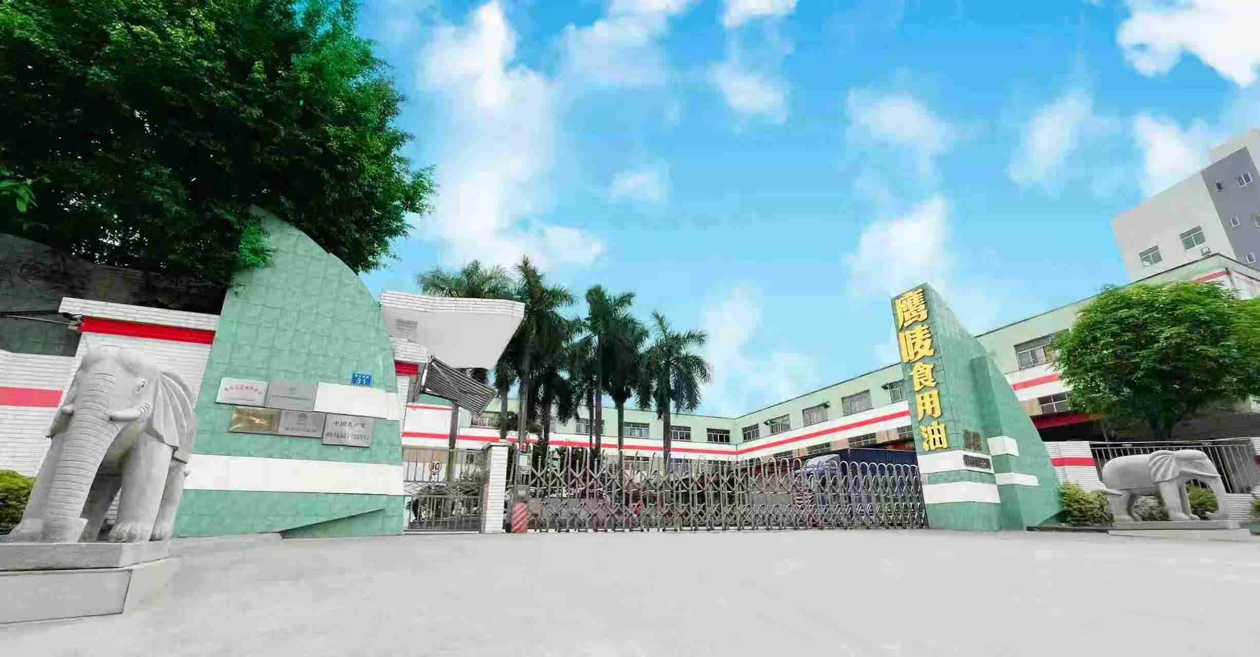 广东鹰唛食品有限公司