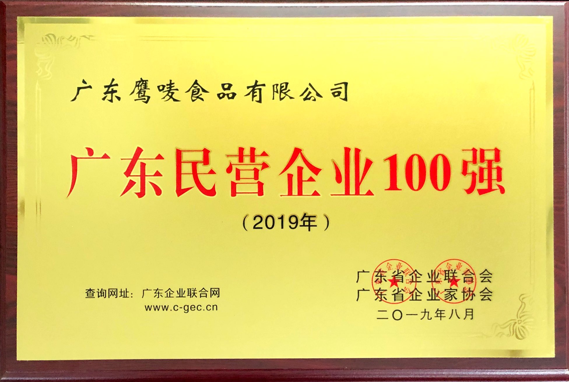 2019广东省民营企业100强