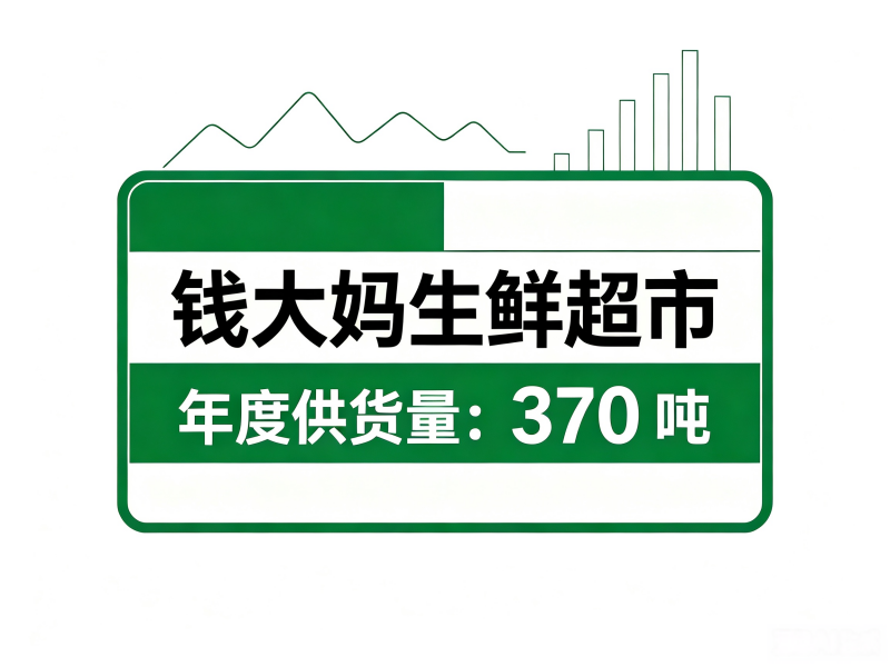 案例六
