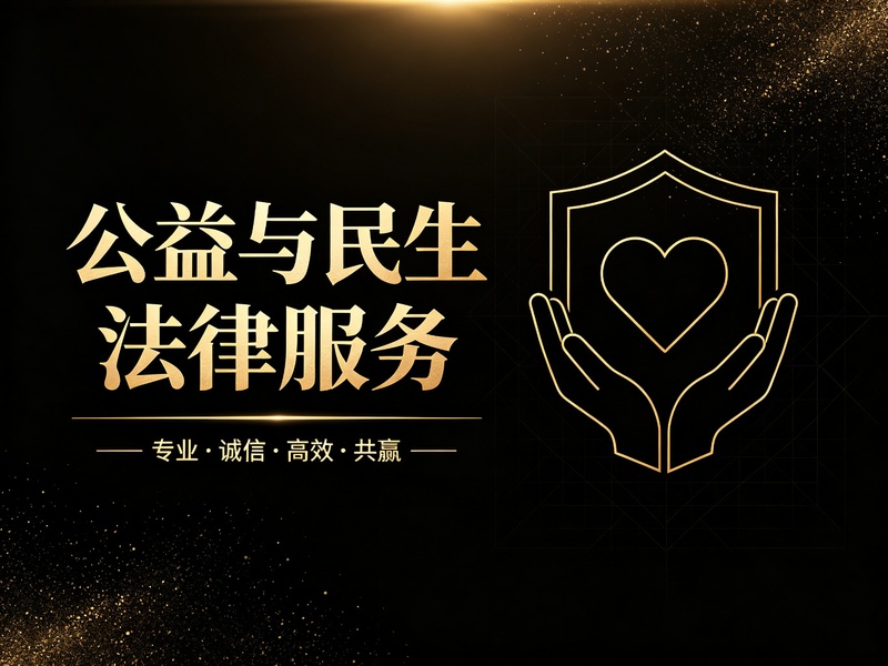 公益与民生法律服务
