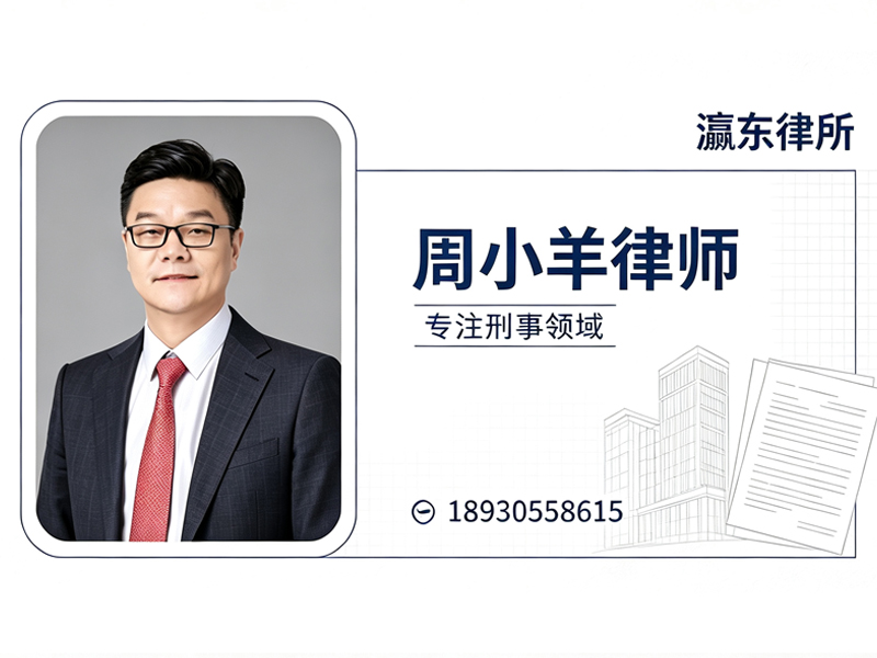 重大刑事案件法律服务