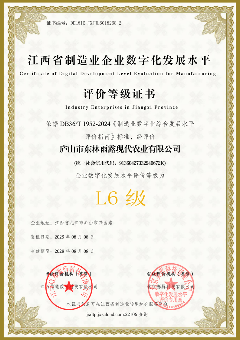 2025年数字化改造L6级