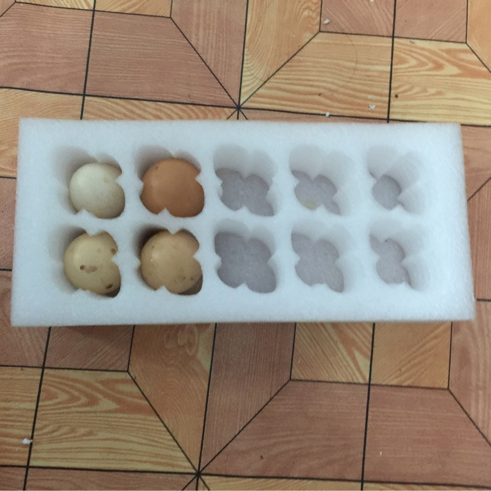 EPE珍珠棉鸡蛋托